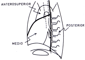 anatomia del mediastino anterior